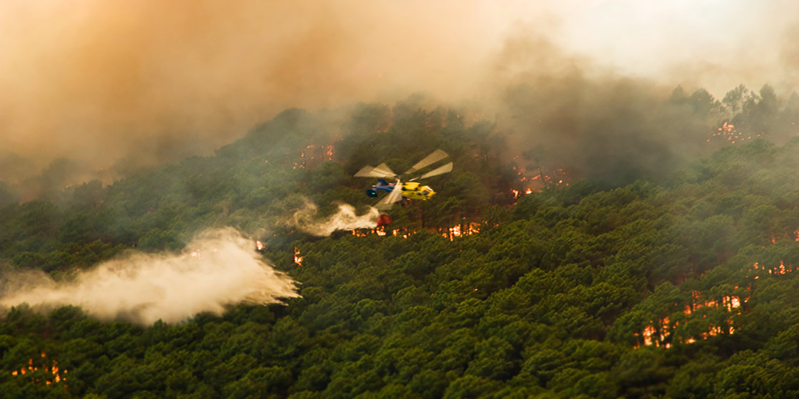 Opacidad y recortes en el gasto contra los incendios forestales