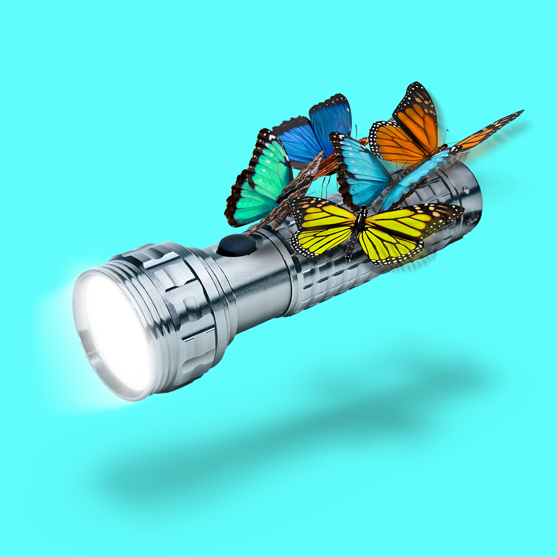 Ilustración de unas mariposas sosteniendo una linterna