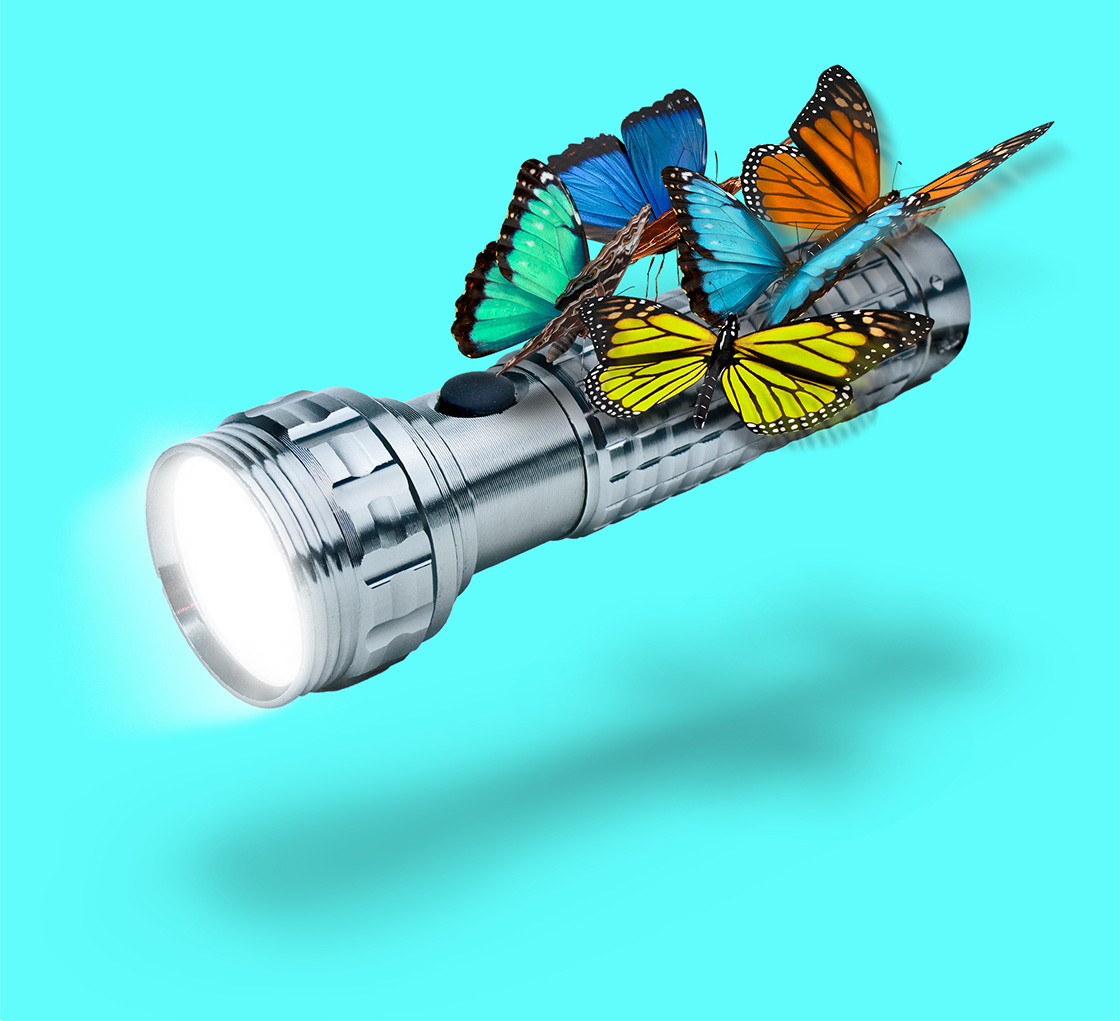 Ilustración de un grupo de mariposas llevando una linterna